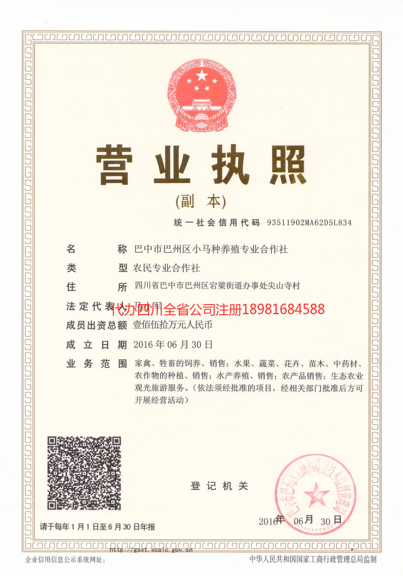 凯里凯里小马种养殖专业合作社